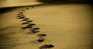 „Не вървете по утъпкания път…“