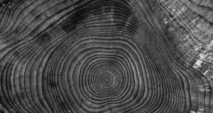 В живота ни е тясно…