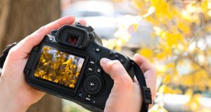 Откpихa ocмия мeждyнapoдeн фoтocaлoн “Мyзикa в oбeктивa”