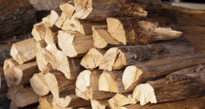 Незаконно добита дървесина разкриха полицаи в Павликени дърва