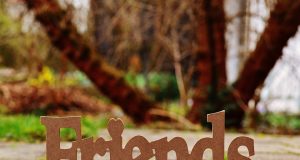 Ако търсиш приятели сред хората