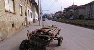 Незаконна сеч засякоха в Павликени