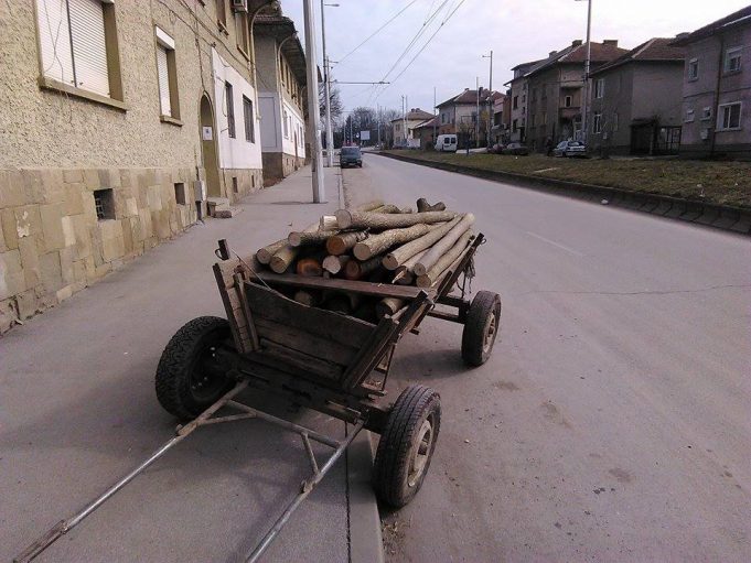 Незаконна сеч засякоха в Павликени