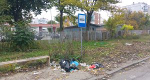 Свинщина в Павликени