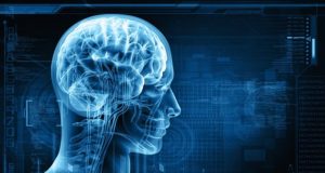 Мъж на 90 години от община Павликени е починал от вирусен менингоенцафалит