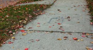 Дневна доза хумор