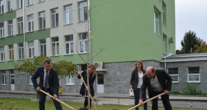 Павликени и градове от 19 държави се включиха в акцията „Дърво на Европа“