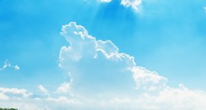 Най-високите оферти на декар са край Павликени