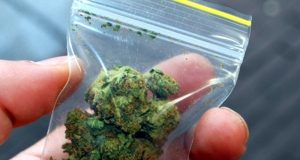 Наркотични вещества иззеха служители на РУ – Павликени