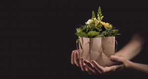 Защо „ТРЯБВА“ …