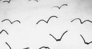 Spread your wings and fly