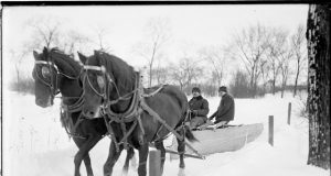 Кон с гребло рине сняг в Павликени Почистват парка Линкълн в Чикаго с коне, 1903 г.