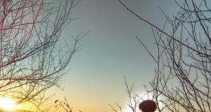 Залез край Павликени