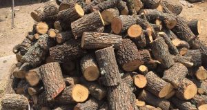 Каруца с незаконна дървесина задържаха край Павликени