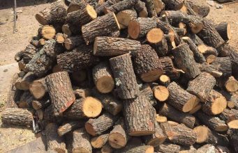 Арестуваха бракониер, замерящ полицаи с дърва в опит да избяга с каруца