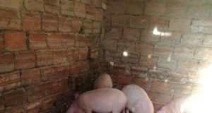 Продавам прасенца