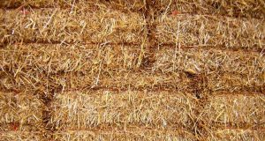 Продавам бали пшеничена слама