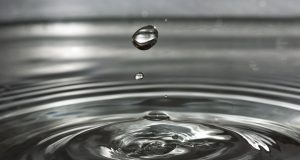 Животът е твърде кратък