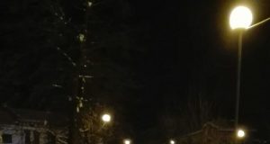 Де’й конят?