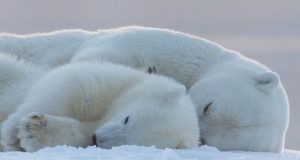 Време за почивка