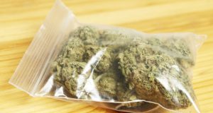 Около 15 грама канабис са открити в жилището на 28-годишен мъж в с. Лесичери марихуана