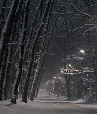 Зимни вечери