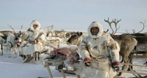 Риболов в Сибир