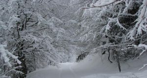 Ограничено е движението на път ІІІ-403 Коевци-Павликени за всякакви МПС поради силен вятър водещ до снегонавявния.