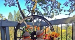 Дневна доза хумор