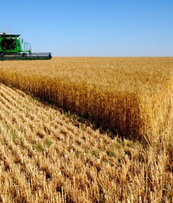 Търси да назначи началник Общинска служба по земеделие – Павликени