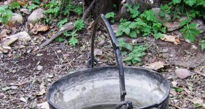 Иванови влачуги в с. Караисен