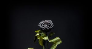 „Няма друго черно, освен ЧЕРНОТО“ – Ив Сен Лоран