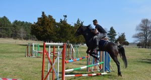 Тодоровден по стар стил отбелязаха в Павликени