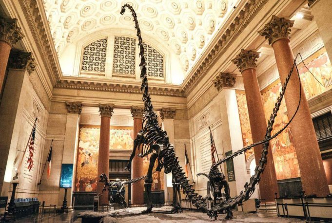 New York City Natural History Museum