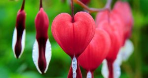 Единственото нещо, което може да провали един ден