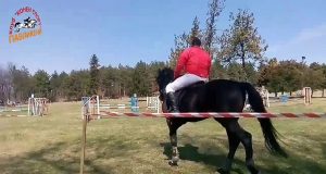 Старостилен Тодоровден в Павликени