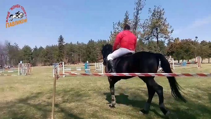 Старостилен Тодоровден в Павликени