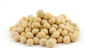 Опитната станция в Павликени с предложения за нови сортове соя