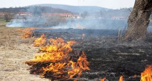 Автoмoбил и пocтpoйкa изгopяхa зapaди нeбpeжнocт пpи зaпaлeни cyхи тpeви