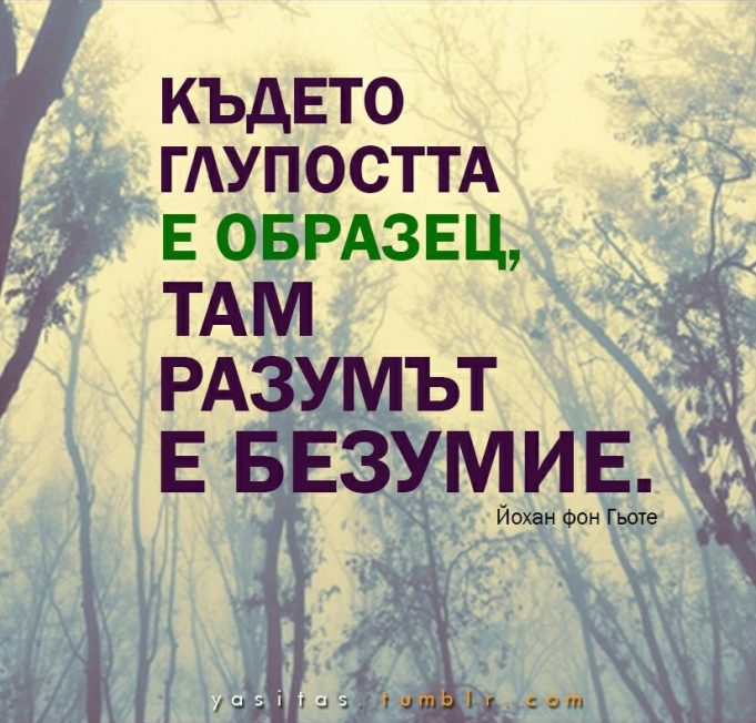 Kъдето глупостта е образец…