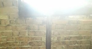 Продавам агнета