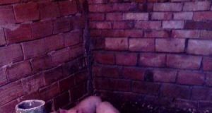 Продавам малки прасенца