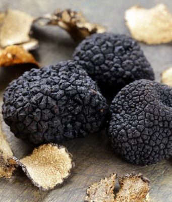 Трюфелът – храната на боговете