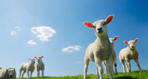 Гергьовден