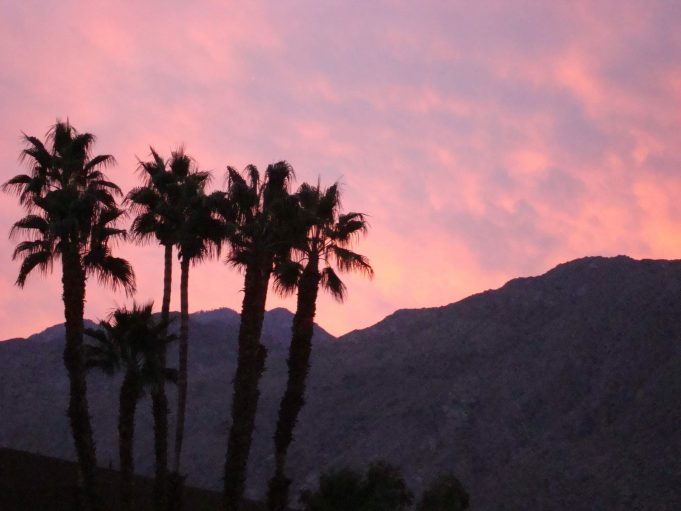 Palm Springs, CA