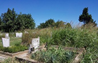 Общинското гробище в Павликени – змиярник