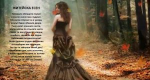 Житейска есен