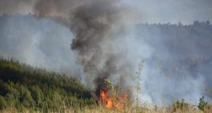 12 пожарникари и 4 доброволци гасиха сухи треви в Сухиндол