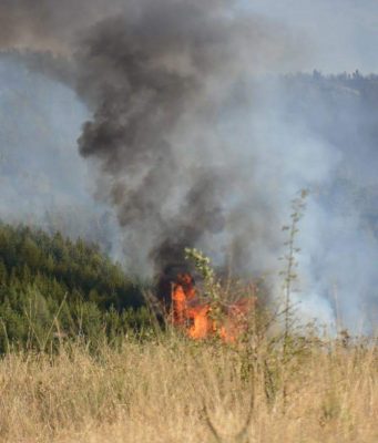 12 пожарникари и 4 доброволци гасиха сухи треви в Сухиндол
