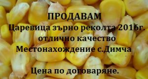 Продавам царевица